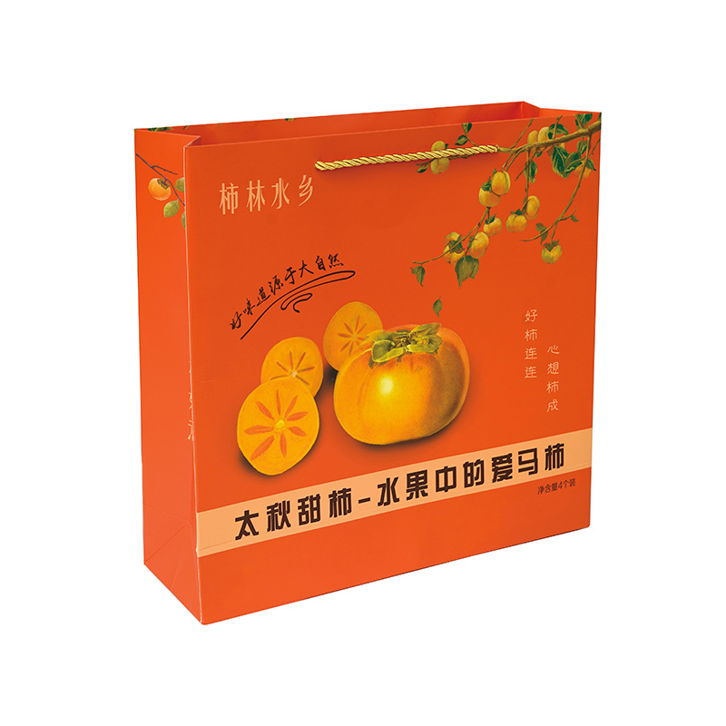 Túi quà tặng giấy
